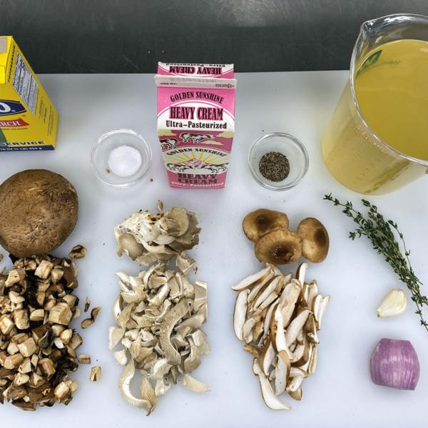  Mushroom Soup Ingredients