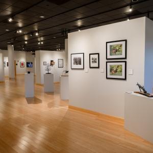 Artwork on display in The Gallery at Penn College