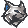 Wildcats logo