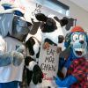 Three mascots: A wildcat giving a high five, a holstein cow holding a sign that says "Eat Mor Chikin," and a flurry blue character in a red buffalo-plaid shirt, pose together. 