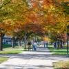 People walk under a canopy of trees showing their fall colors on Penn College's main campus.