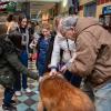 A group of people in a hallway pet a large brown fluffy dog that is standing in front of them.