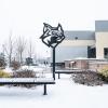 A metal wildcat sculpture near the College Avenue Labs building is dusted in snow.