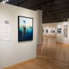 Artwork hangs on the walls of The Gallery at Penn College.