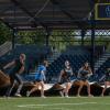 Penn College softball team members carry a large field tarp across the infield at Bowman Field as part of field preparations for the MLB Little League Classic.