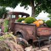 A 1949 Dodge pickup truck, the center of a pondless water feature, is loaded wtih pumpkins and chrysanthemums.