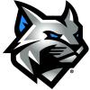 Wildcat Athletics logo