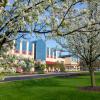 Spring splendor is in full bloom with this glorious line of Bradford pear trees at the Bush Campus Center.  
