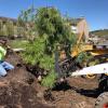 ESC crews belatedly (and beneficially) celebrate Arbor Day
