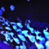 'Black-Light Dodgeball' Attracts Field House Crowd