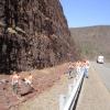 ASHRAE Chapter Cleans Up Adopted Section of Highway