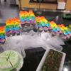 Customers Find Sweet Treats at End of Eatery's Rainbow