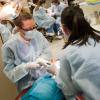 Dental Procedures Worth $5,500 Provided at Sealant Saturday Event