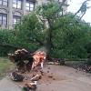 Storm Causes Damage on Campus